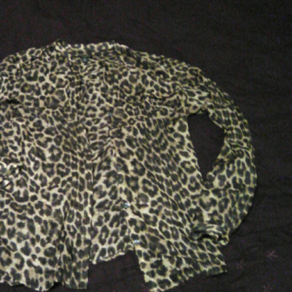 Ann Taylor Leopard Print Button Down Blouse